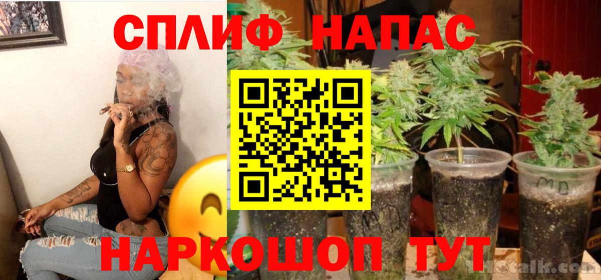 Бошки Шишки марихуана  Бошки Шишки семена  Вход с VPN  Бошки Шишки тримм  Саратов 
